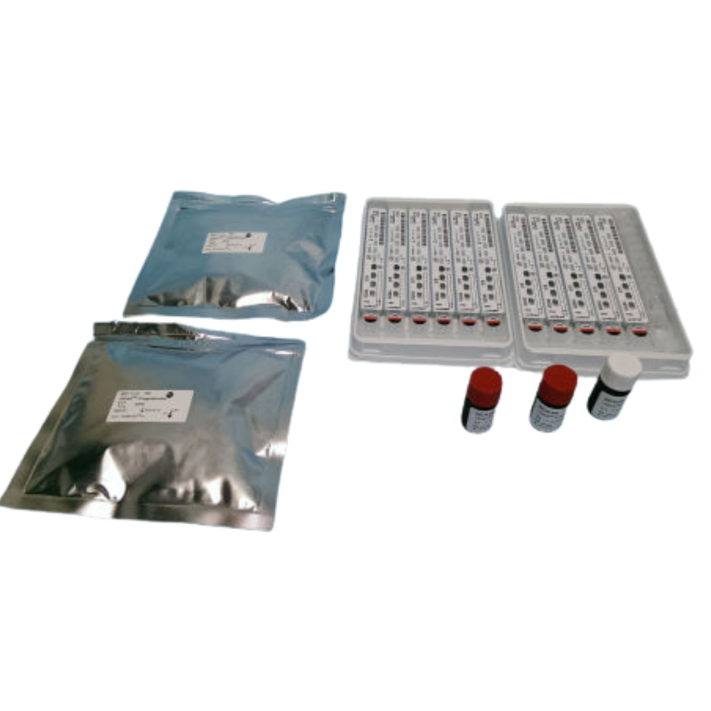 30409  VIDAS PROGESTERONE, 60 Tests
