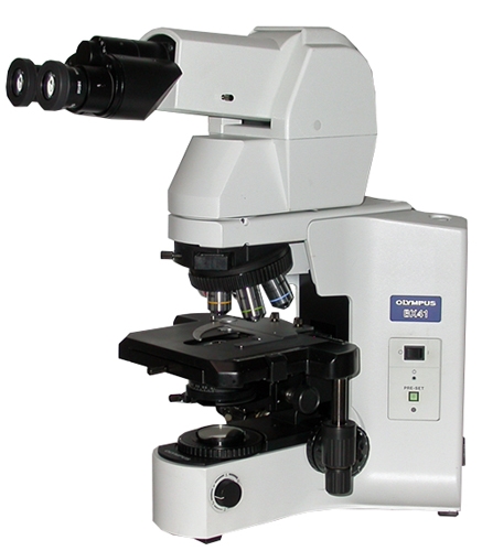 Olympus BX41
