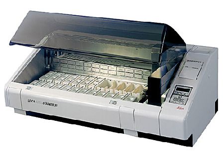 Slide Stainers