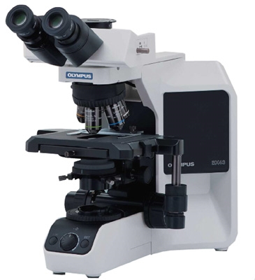 [OLY-BX43] Olympus BX43