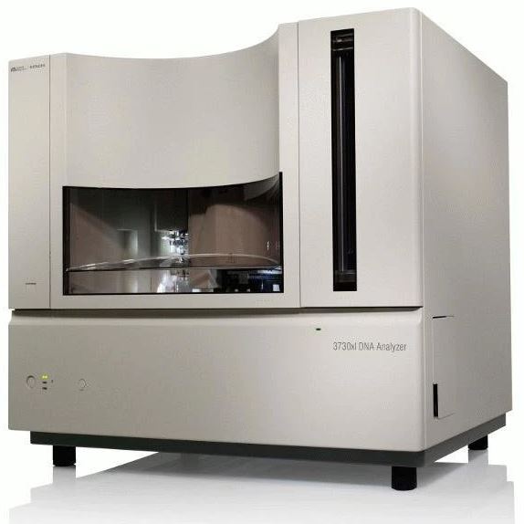 ABI 3730xl Applied Biosystems